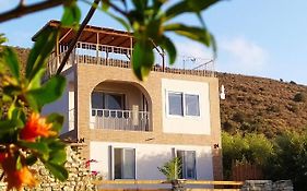 Myparadise-Farm Villa In The Centre Of South Crete